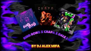 YAILIN MASHUP BING BONG x CHAPA x DALE 2, MEZCLADO POR EL DJ DEL BAJO MUNDO DJ ALEX MIFA🔥