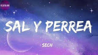 Sech -Sal y Perrea(letra)