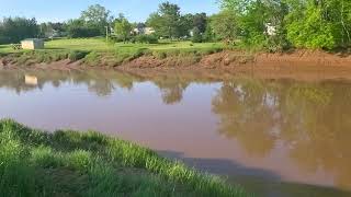 gaspereau an striper in the stewiacke River NS