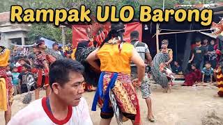 WOW...penonton luber rampak ulo barong ngamok mbekos mbekos || Paguyuban Karya  Budaya_Rowo Subur