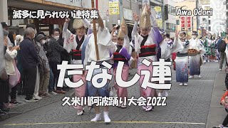 阿波踊り - 流し踊り「たなし連」久米川阿波踊り大会2022 （2022.10.22）