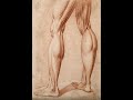 Human Anatomy Ch11 P5 Leg and Ankle