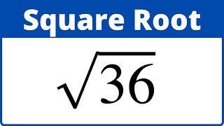 Square Root 36