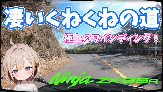 【走行動画】凄いくねくね道　矢作ダム湖　250cc4気筒楽しい【ZX-25R】[ 峠大好き] [ おしゃべりツーリング】