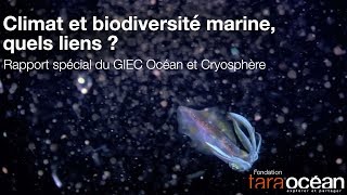 GIEC : climat et biodiversité marine, quels liens ? // IPCC: Climate and marine biodiversity