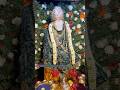 ￼￼Sai Baba Kovil Thiruvizha￼￼￼ #velloreflowershop #vellore #flowers #video  #saibaba #sami #sai