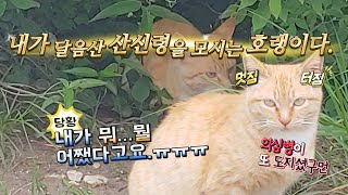 #기장 #달음산 가 보셨나요?