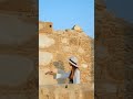 impressive and amazing historical facts about ancient iraq and today iraqhistory shorts