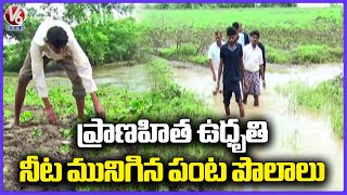 Pranahita River Overflowing..Crops Submerged In Flood Water | V6 News