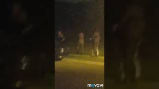 Charlotte Nc girls fighting