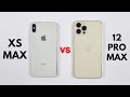 iPhone XS Max Vs iPhone 12 Pro Max Speed Test & Camera Comparison 2023