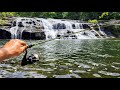 Fishing Below A 30 FOOT WATERFALL!! (New Species)