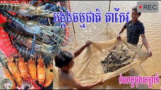 តោះមកញាំ បង្កងតាកែវម្តង