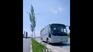 影視：小伙冒死攔下即將發生車禍的大巴，卻被乘客當成傻子 #电影 #电影解说 #影视 #影视解说 #剧情