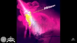 Intelabeam - Pick N Roll