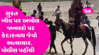 Surat ના Dummas Beach પર અબોલ જાનવરો પર કેદારનાથ જેવો અત્યાચાર, Police મસીહા બની પહોંચી