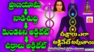 ప్రాణాయామం=నాడి శుద్ధి=కుండలిని=చక్రాలు=Pranayama=Nadi Shuddhi=#Kundalini  activate=Chakras activate