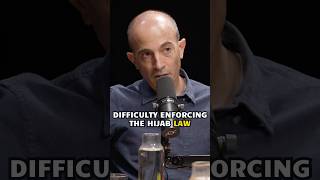 What happens when AI enforces laws? | Yuval Noah Harari on the Rich Roll Podcast