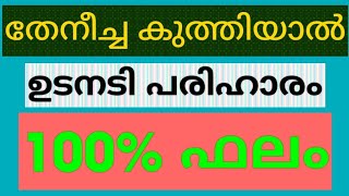 തേനീച്ച കുത്തിയാൽ പെട്ടന്നു ചെയ്യേണ്ട കാര്യങ്ങൾ / തേനീച്ച കുത്തിയാൽ ചെയ്യേണ്ട പ്രതിവിധി