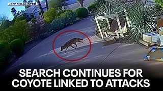 Arizona Game and Fish still searching for coyote in North Scottsdale