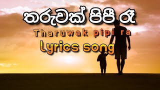 Tharuwak pipi ra lyrics song | තරුවක් පිපී රෑ මල් මාවතේ