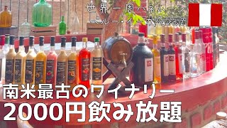 #39 【夫婦で世界一周】南米ペルー🇵🇪イーカ編！南米最古のワイナリツアーへ！(ペルー滞在23日間1人71,179円)