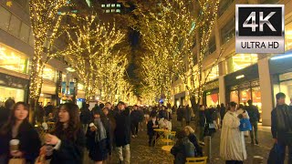 東京クリスマス・丸の内イルミネーション 2024 Marunouchi Street Park 2024 Winter TOKYO