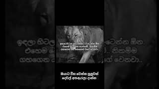 හිත ශක්තිමත් පුද්ගලයා කියන්නේ,තනිවෙන්න බය නැති කෙනාටයි___