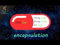 Java encapsulation 💊