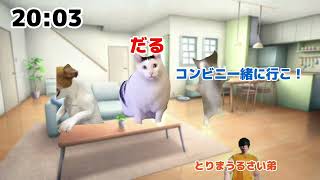 【猫ミーム】自分の日常を猫ミームで再現してみたwww