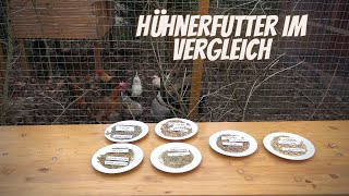 Hühner Tipp 6 - Hühnerfutter im Vergleich - Körnerfutter, Legemehl, Alleinfutter