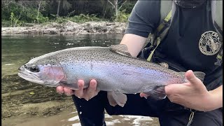 Turangi Freshwater Trout Adventure ! - Tongariro Trout Center, Lake Fishing and More !