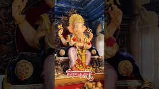 माघी गणेशोत्सव सन्मित्र मंडळ नेरे#shorts #youtubeshorts #ganpati #bappa #panvel #youtube #viralvideo