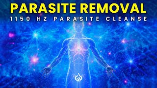 1150 Hz Parasite Cleanse: Effective Frequency for Parasite Removal and Healing