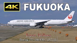 [4K] Boeing 777-200/300 at Fukuoka Airport / 福岡空港 / Fairport