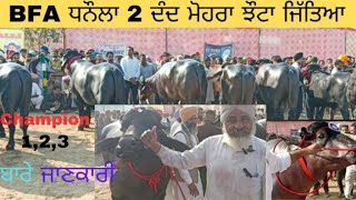 BFA Mela dhonala Murrah 2 ਦੰਦ ਕੱਟੇ ਬਿਊਟੀ ਮੁਕਾਬਲਾ ਇਹ ਕੱਟੇ ਬਣੇ ਚੈਂਪੀਅਨ 1,2,3, ਬਾਰੇ ਜਾਣਕਾਰੀ |