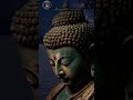 എന്തുകൊണ്ട് തിന്മ buddhasmeditation buddhaswisdom shorts motivation