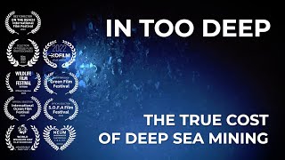 In Too Deep (French subtitles)