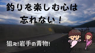 【岩手青物】三陸で釣りを楽しむ心を取り戻したい【大船渡】