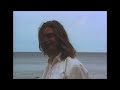 palmbomen ii carina sayles official video