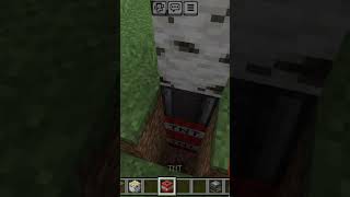 Minecraft Trolling Hacks part ( 1) # Minecraft #qming #games