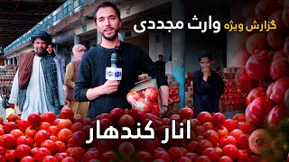 انـــــــــار مشهور قندهار در گزارش ویژه وارث مجددی