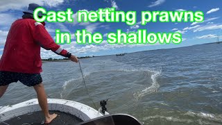 How to catch prawns in the shallows