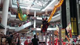 Lion Dance Lunar New Year in Sydney Market City Haymarket