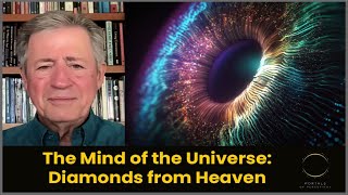 The Mind of the Universe: Diamonds from Heaven with Chris Bache #PortalsofPerception