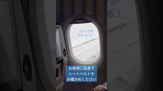 ✈窓の外の羽 フラップが下がってるのが見えた。 #飛行機からの景色 #着陸 #阿蘇くまもと空港