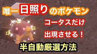 【晴れパ】コータスだけ出現させ半自動動で色違い厳選する方法をご紹介【ポケモンSV】