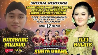 #LiVE SURYA BUANA BT iLFi BiLQiS Terbaru || 17-1-2025 ||  Sumbermuneng - Pace - Nganjuk