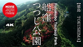 徳島　船窪つつじ公園 4K Funakubo Tsutsuji Park