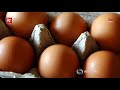 over 200 million eggs recalled in salmonella scare